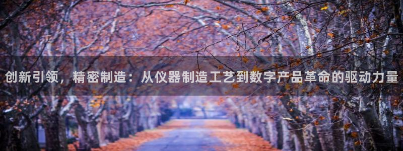 恒行娱乐招收点赞5ll533主管：创新引领，精密制造：从仪器