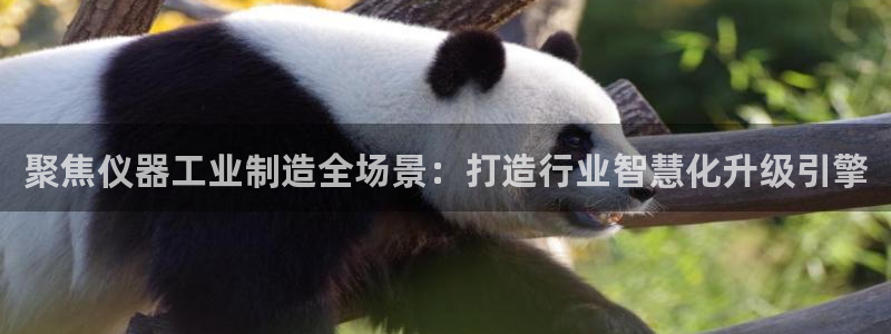 恒行主管首问6ll5l：聚焦仪器工业制造全场景：打造行业智慧