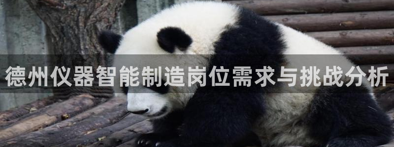 恒行娱乐度74ooo5聘霖：德州仪器智能制造岗位需求与挑战分