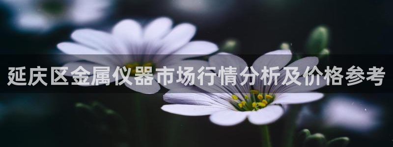 恒行娱乐见5ll533主管：延庆区金属仪器市场行情分析及价格