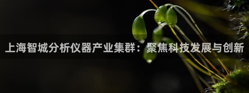 恒行2朱74OOO5：上海智城分析仪器产业集群：聚焦科技发展