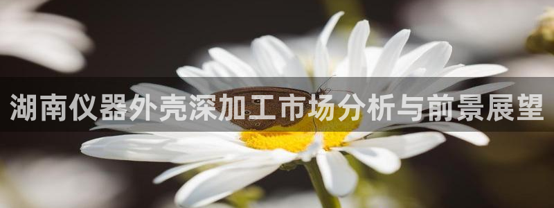 恒指5行情 如来再我心：湖南仪器外壳深加工市场分析与前景展望