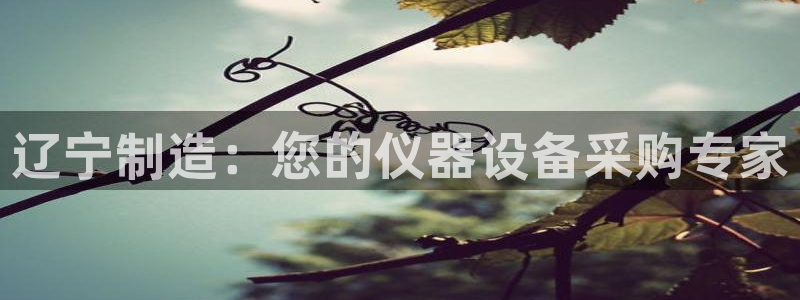 恒行注册招收6ll5l指定：辽宁制造：您的仪器设备采购专家
