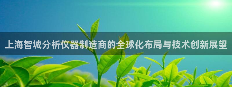 恒行娱乐5ll533主管优雅：上海智城分析仪器制造商的全球化