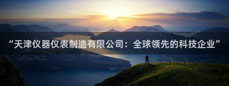 恒行2下74OOO5：“天津仪器仪表制造有限公司：全球领先的