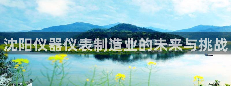 恒行主管6ll5l指定：沈阳仪器仪表制造业的未来与挑战