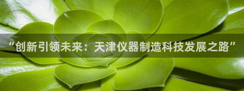 恒行娱乐蜗74ooo5指磁：“创新引领未来：天津仪器制造科技