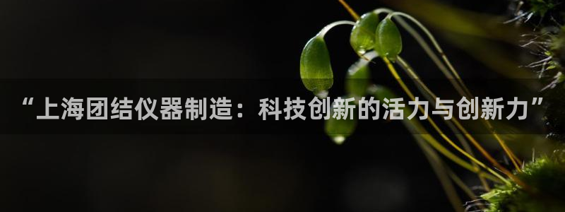 恒行招商老大诚挚 6ll5l：“上海团结仪器制造：科技创新的