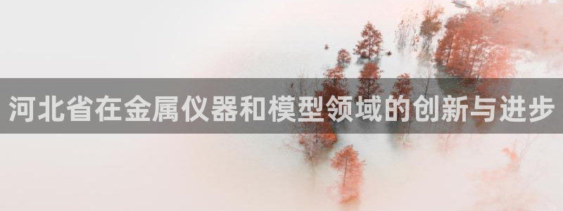 恒行2蒋74OOO5：河北省在金属仪器和模型领域的创新与进步