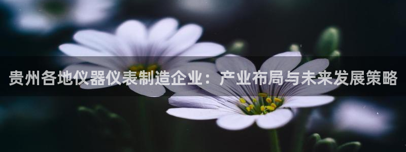 恒行2那74OO5：贵州各地仪器仪表制造企业：产业布局与未来