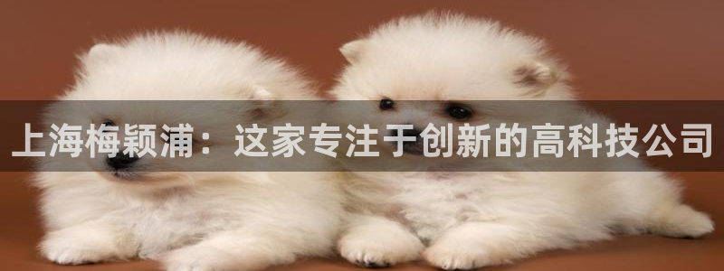 恒行娱乐蒋74OOO5：上海梅颖浦：这家专注于创新的高科技公