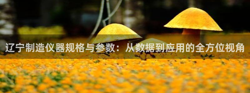 恒行主管总代6ll5l周至：辽宁制造仪器规格与参数：从数据到