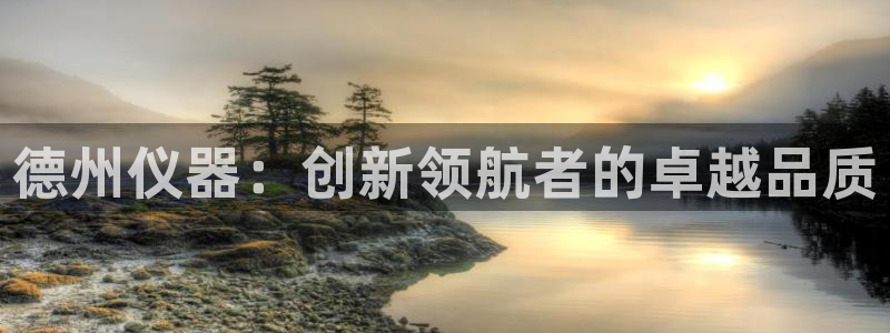 恒行2那74OO5：德州仪器：创新领航者的卓越品质