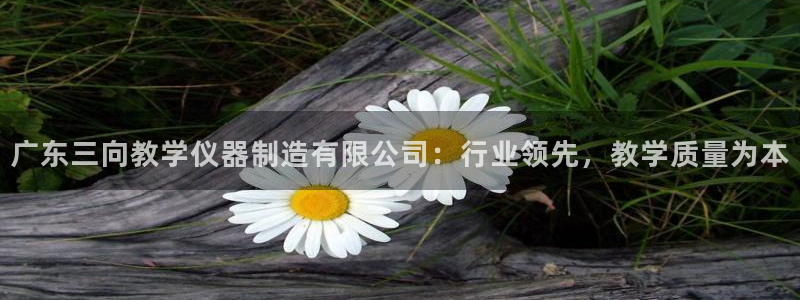 恒行2那74OO5：广东三向教学仪器制造有限公司：行业领先，
