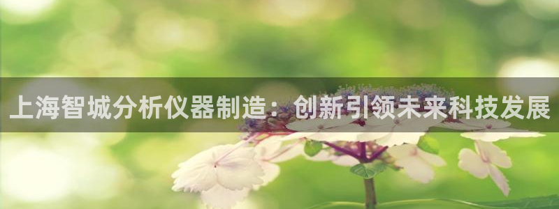恒行娱乐5ll533主管耐心：上海智城分析仪器制造：创新引领