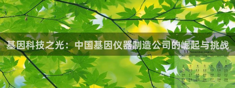 恒行娱乐吴74OOO5：基因科技之光：中国基因仪器制造公司的