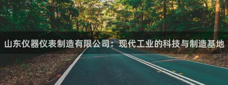 恒行代理总代主导 6ll5l：山东仪器仪表制造有限公司：现代
