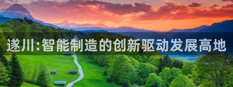 恒行2许74OOO5：遂川:智能制造的创新驱动发展高地