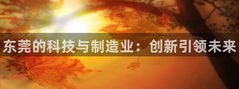 恒行登录就搜6ll5l：东莞的科技与制造业：创新引领未来