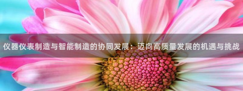 恒行2蒋74OOO5：仪器仪表制造与智能制造的协同发展：迈向