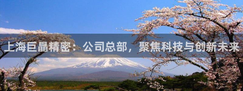 恒行登录就搜6ll5l：上海巨晶精密：公司总部，聚焦科技与创