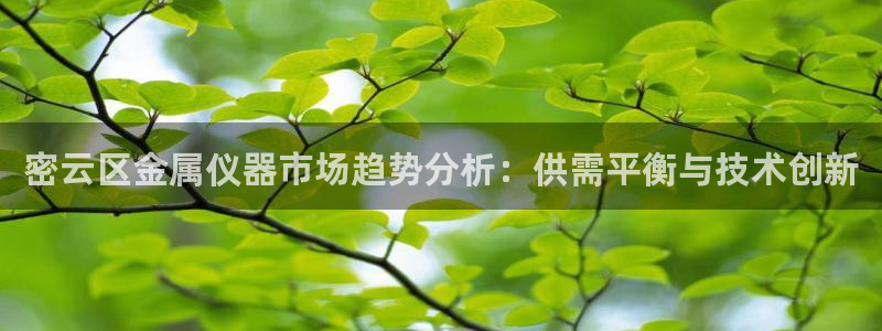 恒行2许74OOO5：密云区金属仪器市场趋势分析：供需平衡与
