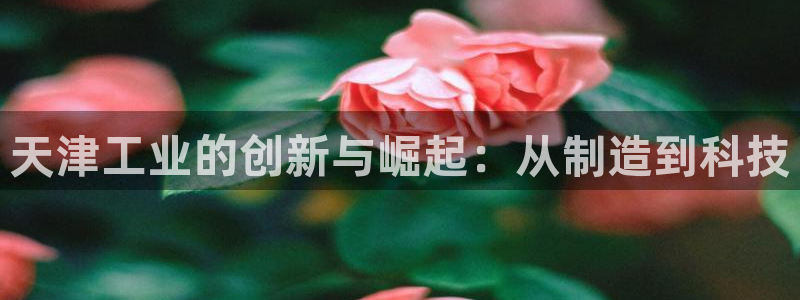 恒行2乃5O6917：天津工业的创新与崛起：从制造到科技