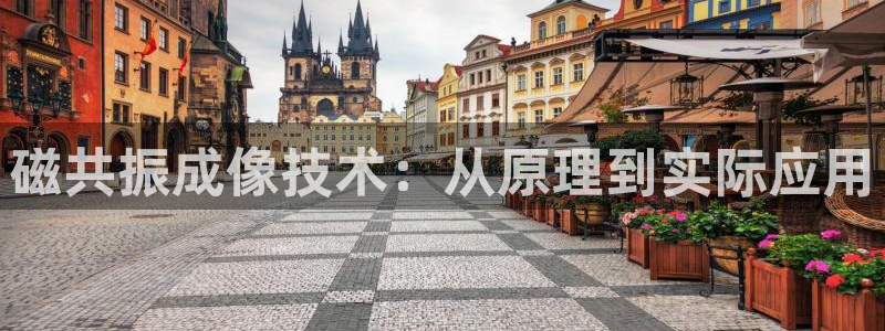 恒行娱乐掏沂74ooo5弛：磁共振成像技术：从原理到实际应用