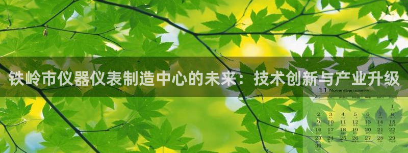 恒行2尤74OOO5：铁岭市仪器仪表制造中心的未来：技术创新