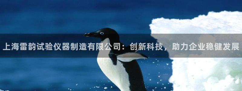 恒行2沈74OOO5：上海雷韵试验仪器制造有限公司：创新科技