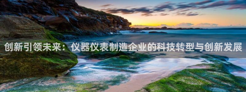 恒行娱乐卫74OOO5：创新引领未来：仪器仪表制造企业的科技