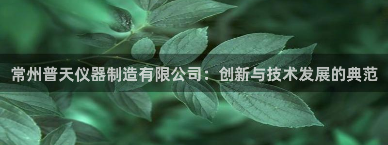 恒行2卫74OOO5：常州普天仪器制造有限公司：创新与技术发