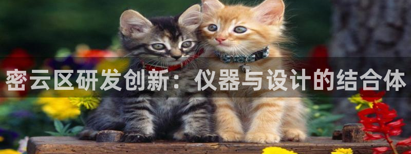 恒行主管总代6ll5l周至：密云区研发创新：仪器与设计的结合