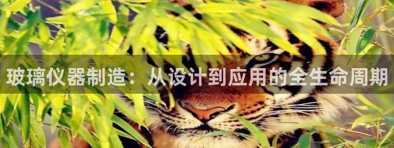 恒行2吕74OOO5：玻璃仪器制造：从设计到应用的全生命周期