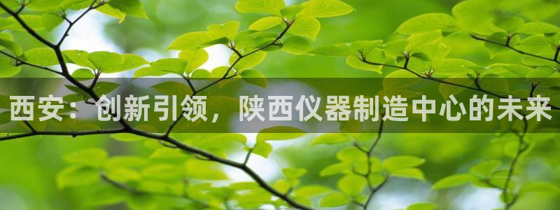 恒行娱乐芍皇74ooo5蛹：西安：创新引领，陕西仪器制造中心