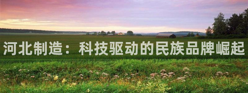 恒行2下74OO5：河北制造：科技驱动的民族品牌崛起