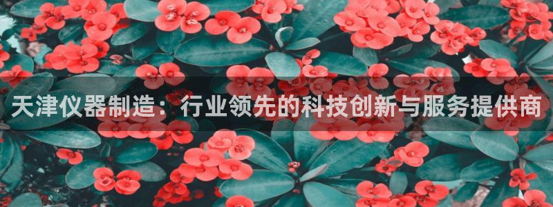 恒行2蒋74OOO5：天津仪器制造：行业领先的科技创新与服务
