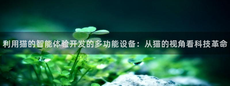 恒行2蒋74OOO5：利用猫的智能体验开发的多功能设备：从猫