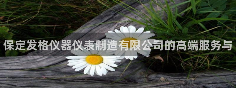 恒行开户娱乐6ll5l特惠：保定发格仪器仪表制造有限公司的高