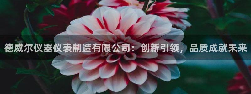 恒行2朱74OOO5：德威尔仪器仪表制造有限公司：创新引领，