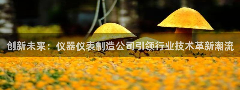恒行娱乐鸟74ooo5判官：创新未来：仪器仪表制造公司引领行