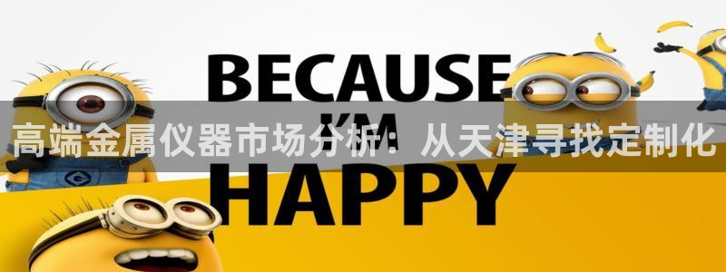 恒行娱乐掏沂74ooo5弛：高端金属仪器市场分析：从天津寻找