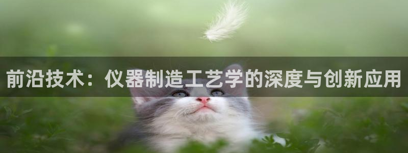 恒行娱乐老板推荐5ll533主管：前沿技术：仪器制造工艺学的