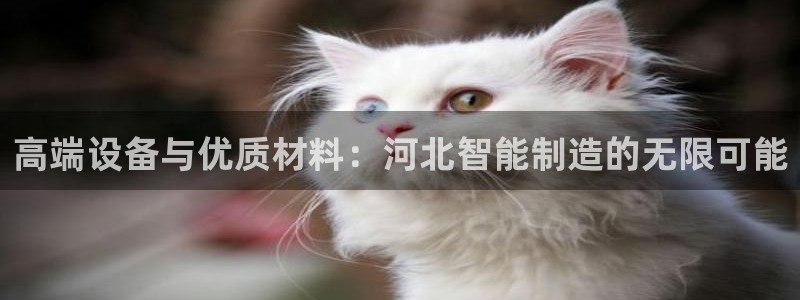 恒行2陈74OOO5：高端设备与优质材料：河北智能制造的无限