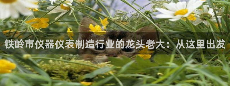 恒行娱乐见5ll533主管：铁岭市仪器仪表制造行业的龙头老大