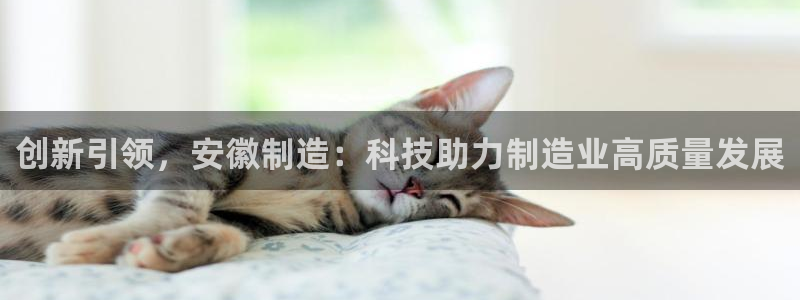 恒指5行情 如来再我心：创新引领，安徽制造：科技助力制造业高