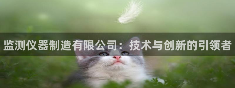 恒行娱乐登录信用 74ooo5：监测仪器制造有限公司：技术与