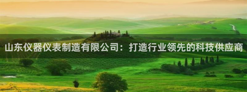 恒行娱乐登录信用 74ooo5：山东仪器仪表制造有限公司：打