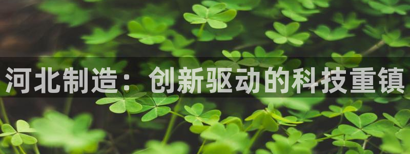 恒行主管6ll5l指定