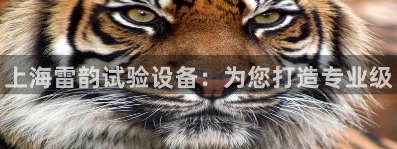 恒行2周74OOO5：上海雷韵试验设备：为您打造专业级